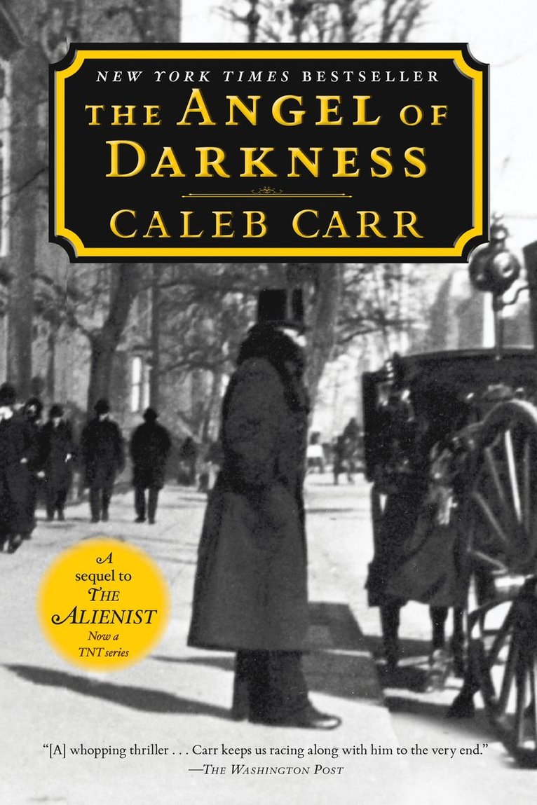 The Angel of Darkness: Book 2 of the Alienist