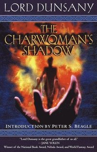 bokomslag The Charwoman's Shadow