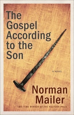 bokomslag Gospel According to the Son
