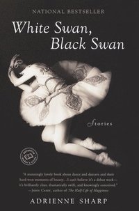 bokomslag White Swan, Black Swan: Stories