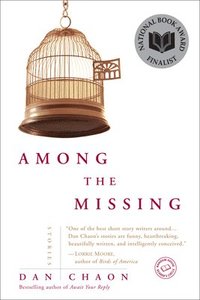 bokomslag Among the Missing