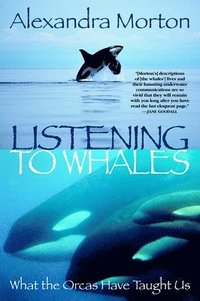bokomslag Listening to Whales