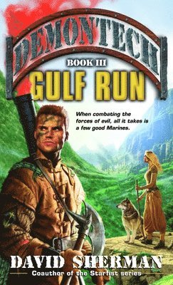 Demontech: Gulf Run 1