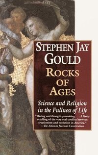 bokomslag Rocks of Ages: Science and Religion in the Fullness of Life
