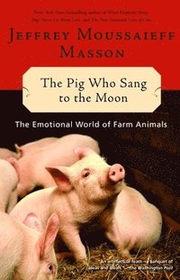 bokomslag The Pig Who Sang to the Moon: The Emotional World of Farm Animals