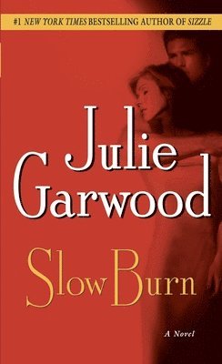 bokomslag Slow Burn
