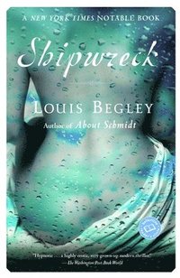 bokomslag Shipwreck