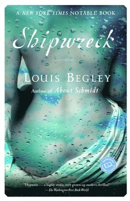 bokomslag Shipwreck