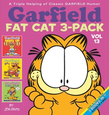 Garfield Fat Cat 3-Pack #13 1