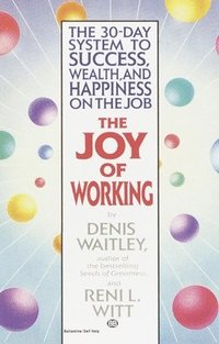 bokomslag The Joy of Working: The 30-Day System to Success, Wealth, and Happiness on the Job