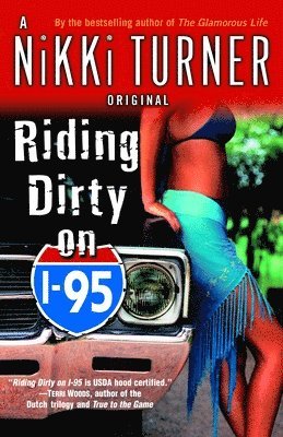 Nikki Turner - Riding Dirty on I-95, Häftad
