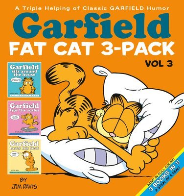 Garfield Fat Cat 3-Pack #3 1