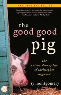 bokomslag The Good Good Pig: The Extraordinary Life of Christopher Hogwood