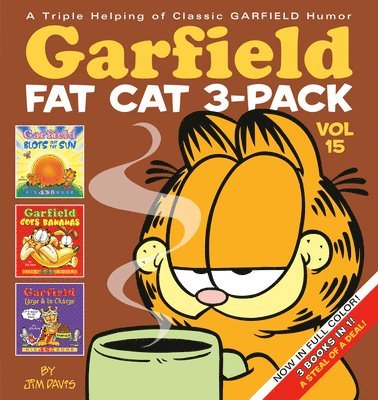 Garfield Fat-Cat 3-Pack, Volume 15 1