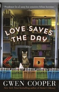 bokomslag Love Saves the Day