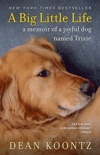 bokomslag A Big Little Life: A Memoir of a Joyful Dog Named Trixie
