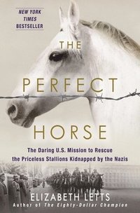 bokomslag The Perfect Horse
