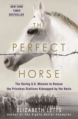 The Perfect Horse 1