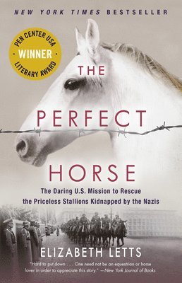 The Perfect Horse 1