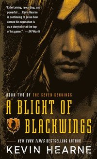 bokomslag Blight Of Blackwings