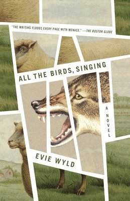 All the Birds, Singing 1