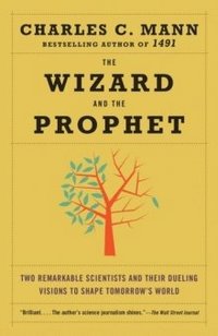 bokomslag The Wizard and the Prophet