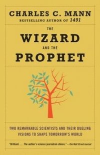 bokomslag Wizard And The Prophet