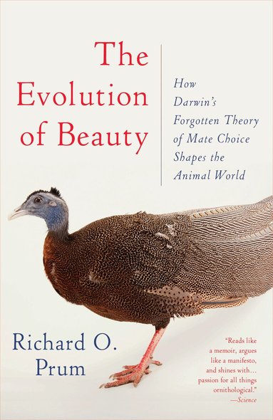 Richard O. Prum - Evolution of Beauty, Häftad