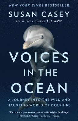bokomslag Voices in the Ocean: A Journey Into the Wild and Haunting World of Dolphins