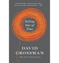 bokomslag Falling Out of Time