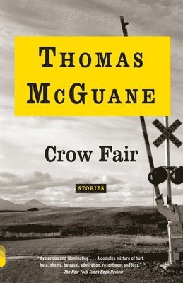 bokomslag Crow Fair: Stories