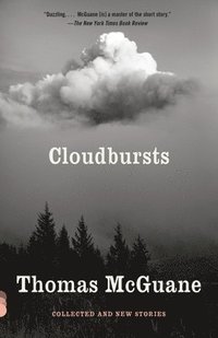 bokomslag Cloudbursts: Collected and New Stories