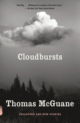 bokomslag Cloudbursts: Cloudbursts: Collected and New Stories