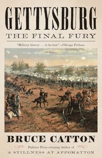bokomslag Gettysburg: The Final Fury