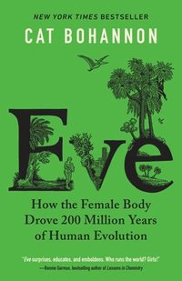 bokomslag Eve: How the Female Body Drove 200 Million Years of Human Evolution