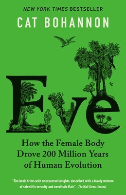 bokomslag Eve: How the Female Body Drove 200 Million Years of Human Evolution