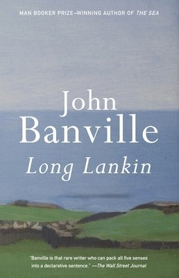 John Banville - Long Lankin, Häftad