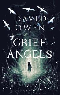 bokomslag Grief Angels