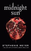 bokomslag Midnight Sun