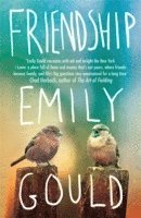Emily Gould - Friendship, Häftad