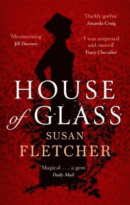 Susan Fletcher - House of Glass, Häftad