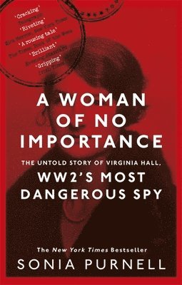 Woman of No Importance