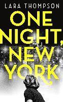 bokomslag One Night, New York