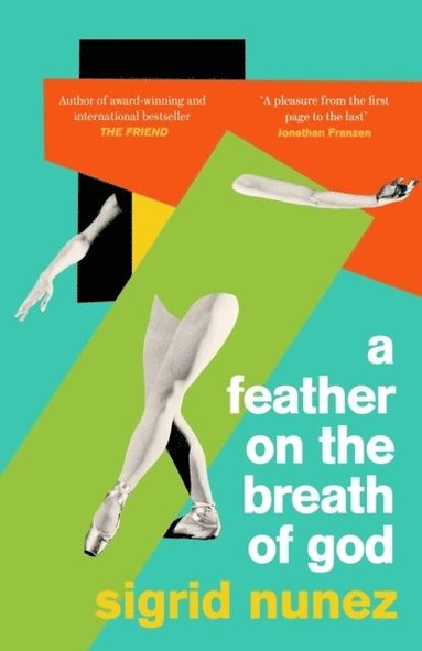 Sigrid Nunez - A Feather on the Breath of God, Häftad