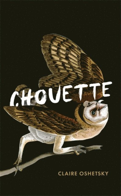 Claire Oshetsky - Chouette, Häftad