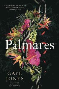 bokomslag Palmares