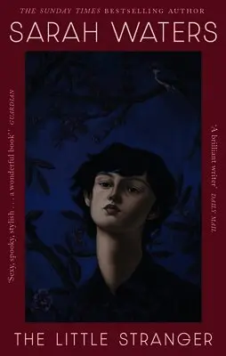 Sarah Waters - Little Stranger, Häftad