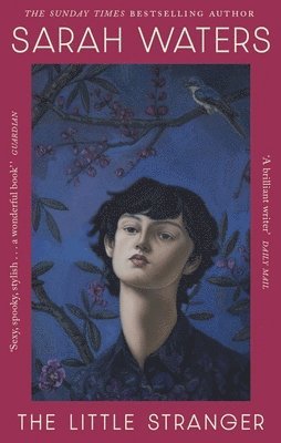 Sarah Waters - Little Stranger, Häftad