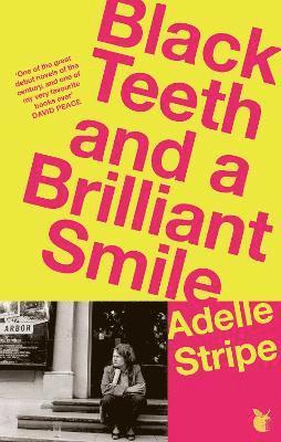 Adelle Stripe - Black Teeth and a Brilliant Smile, Häftad
