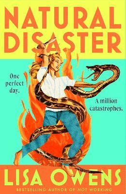 bokomslag Natural Disaster